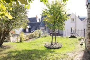 蒙特里夏尔Chez Miriam - Maison de caractère - Ville avec jardin的房子院子中的一棵树