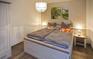 MüglitztalFerienwohnung-Am-Suedhang的一间卧室配有一张带吊灯的大床