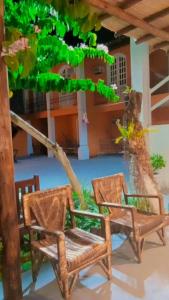 塞古罗港POUSADA DAS FLORES的两把椅子和一棵树在房子前面