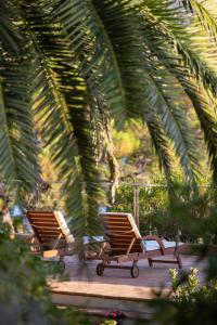 普罗普里亚诺A'mare Corsica I Seaside Small Resort的两把椅子坐在棕榈树下的甲板上
