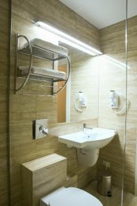 上维谢乌Hotel Montana的一间带水槽和卫生间的浴室
