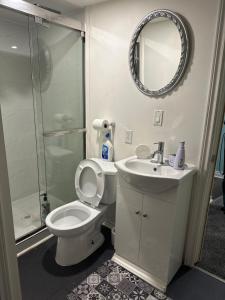 伦敦Aiden Mansion的一间带卫生间、水槽和镜子的浴室