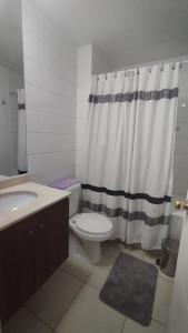 圣地亚哥Alojamiento frente a Turbus的浴室设有卫生间、水槽和淋浴帘