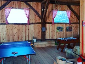 BărcuţChalet Giuel的木墙客房内的乒乓球桌
