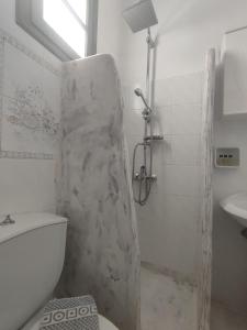 卡马利HOTEL MOHITERO的带淋浴、卫生间和盥洗盆的浴室