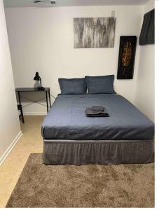 芝加哥Lovely home near Chicago hospitals, White Sox Park, and McCormick Place的一间卧室配有一张带蓝色床单的床和一张桌子。