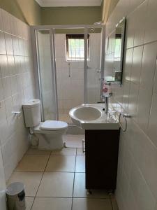 约翰内斯堡马里昂旅舍的一间带卫生间、水槽和镜子的浴室