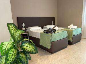 罗马Villa Angeli的一间酒店客房,配有两张床和植物