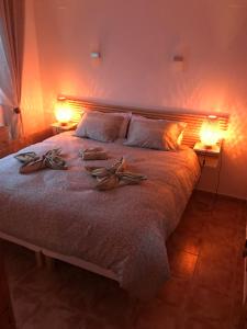 库姆布勒德尔索尔VISTA SUPERIOR hola ZEEZICHT!!的一间卧室配有一张带两个灯的床