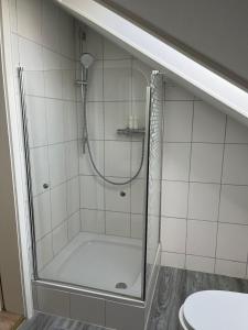 多瑙艾辛根Ferienwohnung的浴室里设有玻璃门淋浴
