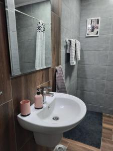 弗尔沙茨Stan na dan DUNJA 2的浴室配有白色水槽和淋浴。