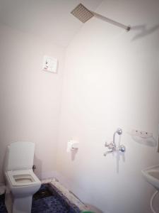 卡纳科纳Baywatch Beach Resort patnem的一间带卫生间和水槽的浴室