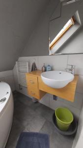 WardenburgLandhaus SiebenEichen的浴室配有盥洗盆、镜子和浴缸