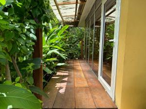 Elwa热带海滩度假村的植物温室的走道