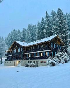 格林德尔瓦尔德Eiger View Alpine Lodge的雪中一座大建筑,有雪覆盖的树木
