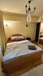 BuzăuGeorgiana’s central apartment的一间卧室配有一张带吊灯的大床