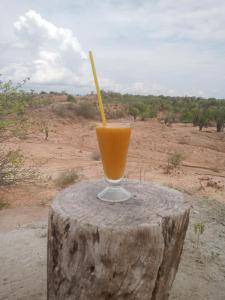 比利亚维哈Valle del Cardón的树 ⁇ 上坐着一杯橙汁