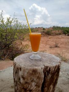 比利亚维哈Valle del Cardón的树 ⁇ 上坐着一杯橙汁