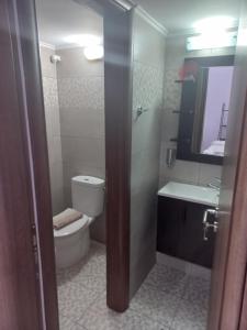 斯卡拉埃雷索萨福酒店的一间带卫生间、水槽和镜子的浴室