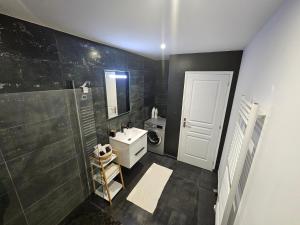 莫尔比耶Appartement T2 bis à morbier的带淋浴、盥洗盆和镜子的浴室