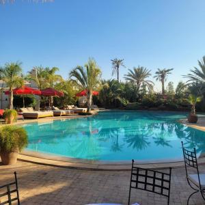 马拉喀什Eden Lodges & SPA的棕榈树度假村内的大型游泳池