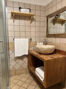 泰穆贝罗提农家乐的一间带水槽和镜子的浴室