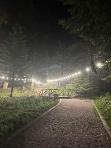 波罗维茨Cozy Riverside Pine Studio E5的公园里晚上有灯光的小径