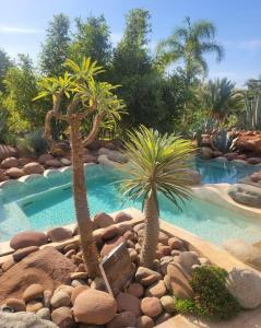 马拉喀什Eden Lodges & SPA的花园内带两棵棕榈树的游泳池