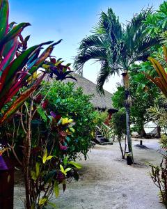 PatioEDEN Private Island TAHAA的拥有一束树木和植物的度假胜地