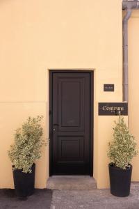尼斯Centrum Nice的前面有两棵盆栽植物的黑色门