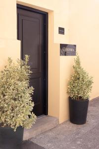 尼斯Centrum Nice的两个盆栽植物坐在门前
