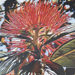 帕帕莫阿Papamoa Beach Hugoway, Pohutukawa Studio Deluxe, Close beach, free parking的红花植物画