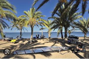 Playa Paraisocasa movil的一片棕榈树海滩和沙滩上的冲浪板