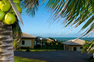 祖姆比Beira Mar e Sossego C13 Praia de Zumbi RN的棕榈树,享有房子和大海的景色