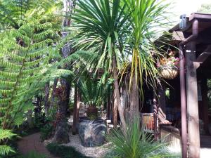 科罗曼德镇Bali Haven的庭院里种有棕榈树和植物的花园