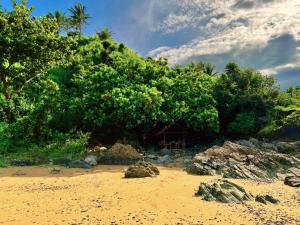 BarasL'Astrolabe - Beach Kubo的海滩上的一群树木和岩石