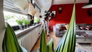 特里尔Domus Merian XII的一间拥有绿色植物和红色墙壁的客厅