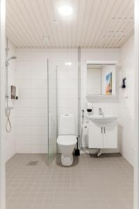 康阿斯阿拉Serviced Apartments Kuohu Kangasala by UHANDA的一间带卫生间和水槽的浴室