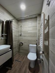 卡兹贝吉Garemta的一间带卫生间和水槽的浴室