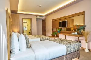 伊斯坦布尔Atro Hotel的酒店客房设有两张床和电视。