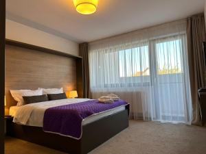 布拉索夫Luxury Glam Apartments & Studios near Coresi Mall的一间卧室设有一张大床和一个大窗户