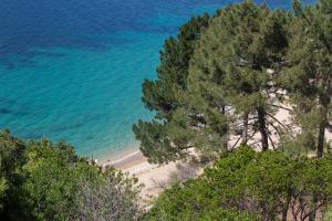 普罗普里亚诺A'mare Corsica I Seaside Small Resort的享有树木和水面海滩的空中景致