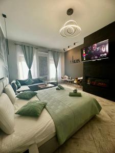 布拉索夫Stay Inn Central Brasov Apartments的一间卧室配有一张大床和一台平面电视