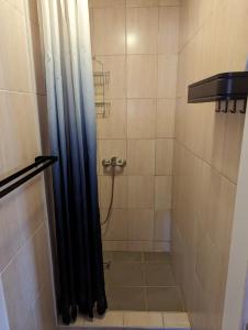 布尔诺约翰高尔特旅馆的浴室内配有黑色淋浴帘和淋浴