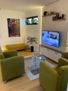 贝尔格莱德Vrtovi Ceraka的客厅配有平面电视和绿色椅子。