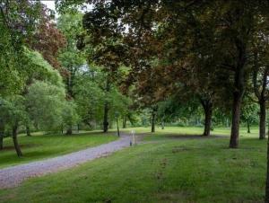 NäsvikenForsså Herrgård hotell och SPA的林草公园的小路