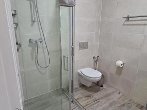 费拉古多Amigos para Sempre - Casa de Hóspedes的一间带卫生间和玻璃淋浴间的浴室