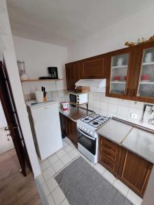 斯塔利格拉德-帕克利尼卡Apartments Lota的厨房配有白色冰箱和木制橱柜。