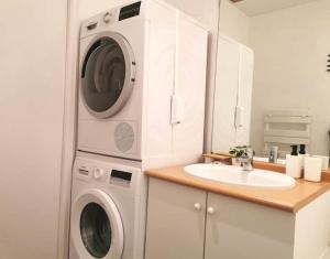 南特CŒUR MENOU, Radis'son & PARKING的一间带洗衣机和水槽的浴室