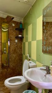 亚喀巴Al-Amer Hostel 2的一间带卫生间和水槽的浴室